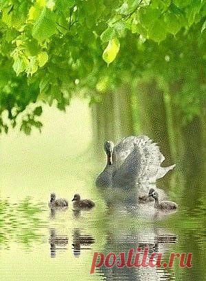 Мой Мир@Mail.Ru