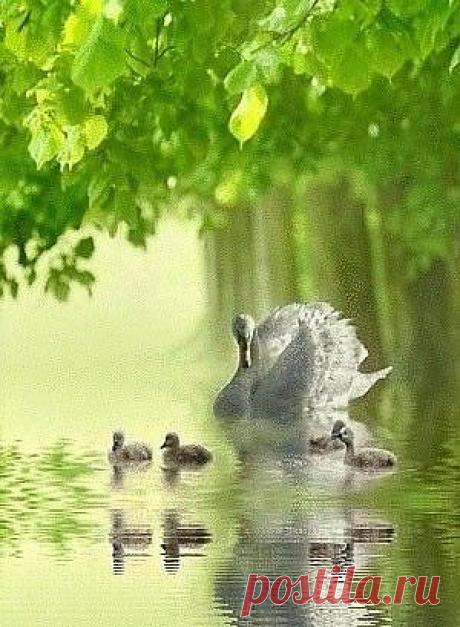 Мой Мир@Mail.Ru