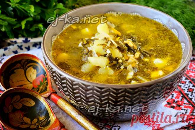 Зелёный борщ с щавелем и яйцом, рецепт с фото пошагово