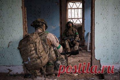 В разведке объяснили отторжение мирного плана Трампа Киевом