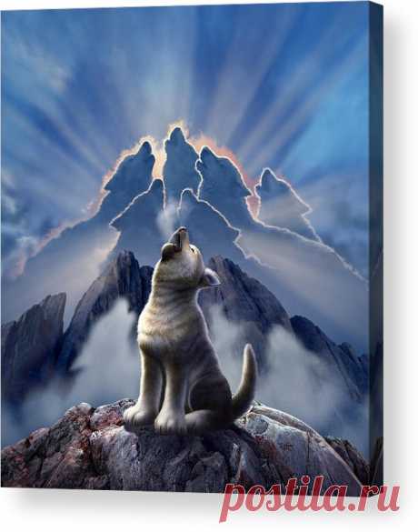 Leader of the Pack Acrylic Print by Jerry LoFaro Leader of the Pack Acrylic Print by Jerry LoFaro.  All acrylic prints are professionally printed, packaged, and shipped within 3 - 4 business days and delivered ready-to-hang on your wall. Choose from multiple sizes and mounting options.