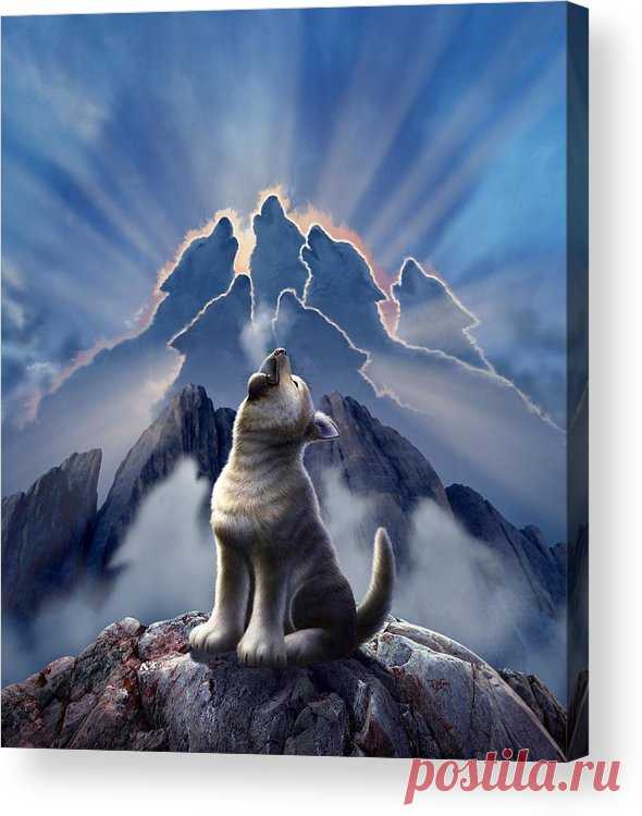 Leader of the Pack Acrylic Print by Jerry LoFaro Leader of the Pack Acrylic Print by Jerry LoFaro.  All acrylic prints are professionally printed, packaged, and shipped within 3 - 4 business days and delivered ready-to-hang on your wall. Choose from multiple sizes and mounting options.