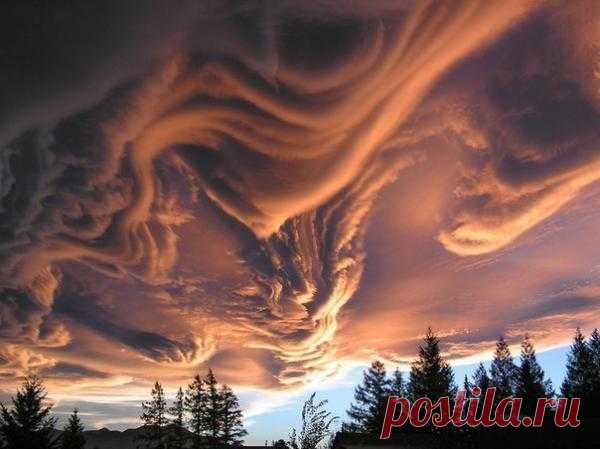 Небесный холст