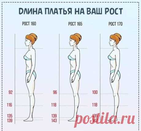 Шитье Выкройки   Длина платья на ваш рост
