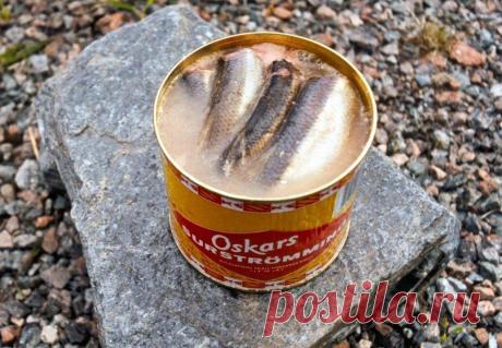 Шведская штучка. Селедка в разносолах, шведские рецепты соусов для селедки. Готовим вкусней чем Абба. | Правильно готовим | Яндекс Дзен