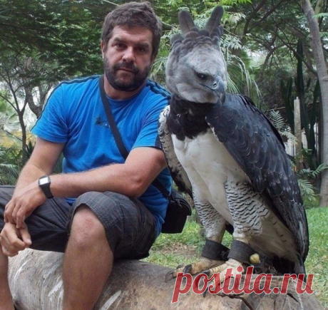 (81) Одноклассники