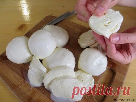 Домашний сыр «Нежная моцарелла»