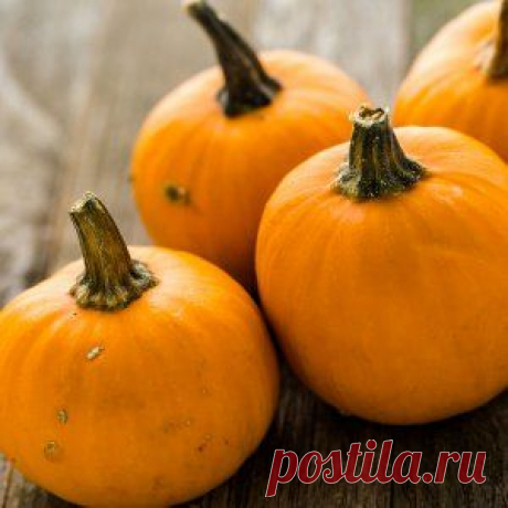 Тыква укрепляет иммунитет и продлевает жизнь | Зеленая аптека (Усадьба)