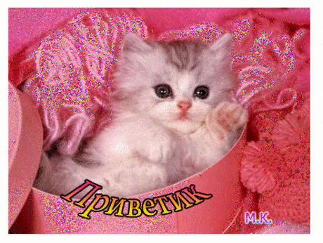 , Привет Анимация с надписями, открытки с html кодами для вставки бесплатно