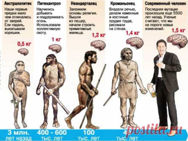 Как подружиться с углеводами