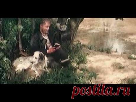 Белый Бим Черное ухо (1 серия) (1977) Полная версия