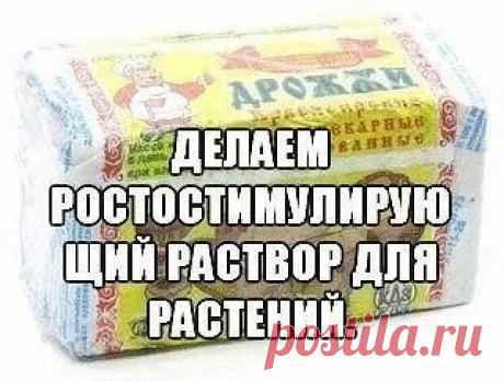 Делаем ростостимулирующий раствор для растений.