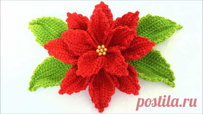 Crochet Poinsettia Flower To Make For Decor The crochet poinsettia flowers look adorable anywhere. But, they become special at year-end holidays, as these flowers give a magic touch to your home.