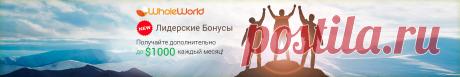 Whole World - Партнерский фандрайзинг - Бизнес XXI века