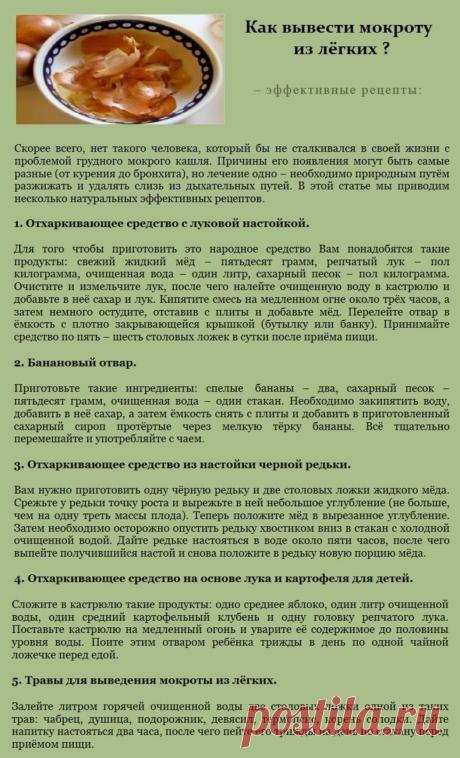 Как вывести мокроту из легких