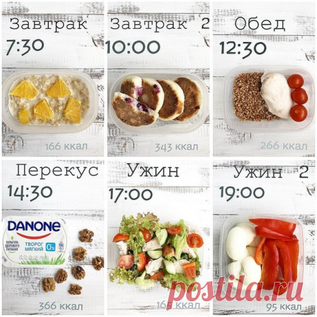 Рацион на 1500 калорий
К/Б/Ж/У 1500 ккал/146/54/109.

1. Завтрак: овсянка 35 гр (в сухом виде), молоко 1,5% 110 мл, апельсин 15 гр - 166/7,6/3,8/24; 
2. Второй завтрак: 4 сырника со смородиной - 343/41/6/30,5;
Показать полностью…