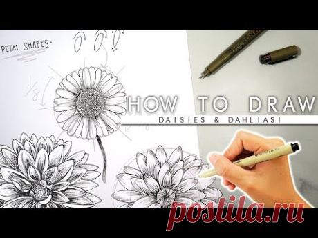 How To Draw Flowers 🌼ADVANCED🌼 My 2019 Bullet Journal Flowers