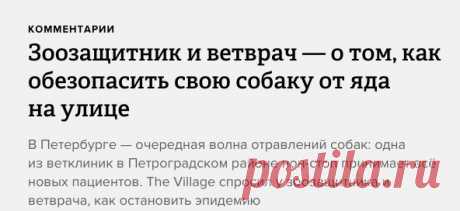 Зоозащитник и ветврач — о том, как обезопасить свою собаку от яда на улице — The Village — The Village — поток «Комментарии»