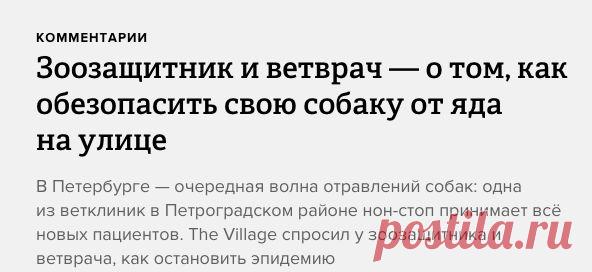 Зоозащитник и ветврач — о том, как обезопасить свою собаку от яда на улице — The Village — The Village — поток «Комментарии»