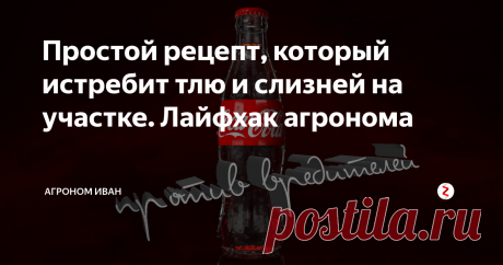 Простой рецепт, который истребит тлю и слизней на участке. Лайфхак агронома Против вредителей
Основной  ингредиент  кока-колы, который  помогает  нам  бороться  с вредителями  на  участке, ортофосфорная  кислота.  Ну  и  сахар тоже по-своему способствует уничтожению насекомых.