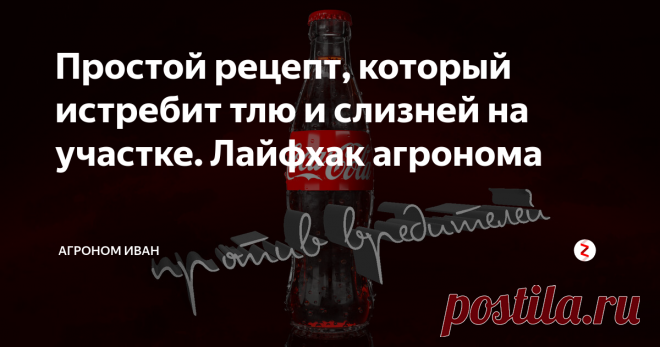 Простой рецепт, который истребит тлю и слизней на участке. Лайфхак агронома Против вредителей
Основной  ингредиент  кока-колы, который  помогает  нам  бороться  с вредителями  на  участке, ортофосфорная  кислота.  Ну  и  сахар тоже по-своему способствует уничтожению насекомых.