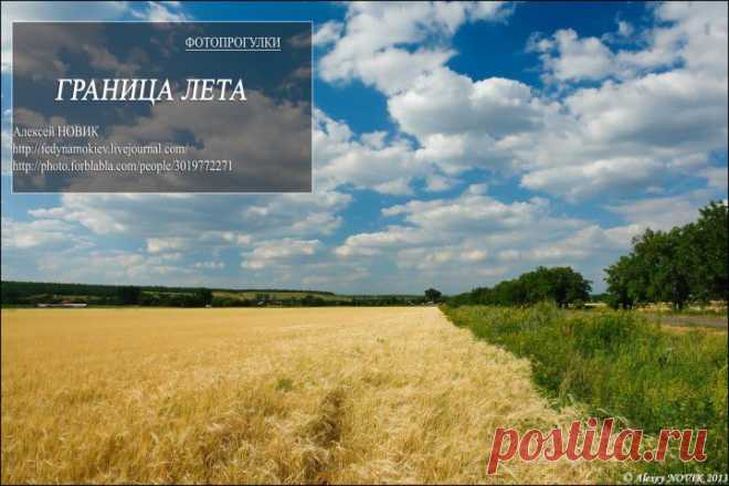 (+1) комм - Фотопрогулки. Граница лета | ЛЮБИМЫЕ ФОТО