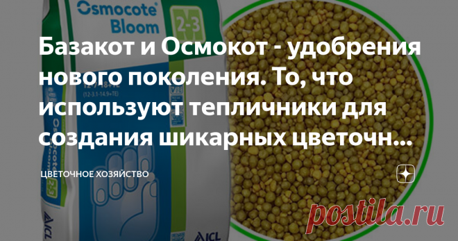 Базакот и Осмокот - удобрения нового поколения. То, что используют тепличники для создания шикарных цветочных кашпо Всего несколько лет назад эти удобрения были мечтой российских цветоводов. Помню, как на цветочных форумах девочки, живущие в Европе, показывали фото своих цветов, выращенных на Осмокоте или Базакоте. И это было впечатляющее зрелище! Мы потихоньку завидовали европейцам, мечтая раздобыть эти чудо-удобрения, ведь у нас в продаже их тогда ещё не было.