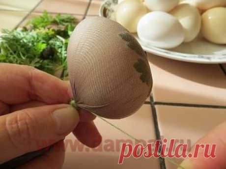 Окраска пасхальных яиц | DAMские PALьчики. ru