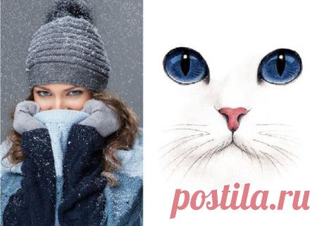 Запись Марину Татарскую песня КОШКА-ЗИМА...Кошка-Зима, расцарапав окно коготком, Сладко зевнув, пьет холодное молоко... И во дворе, наигравшись, свернётся клубком, Переодев людей в снежной бабы пальто. Припев: Надев пуховик, ты станешь волшебником вмиг, С собою неся тепло... на стельках бе..