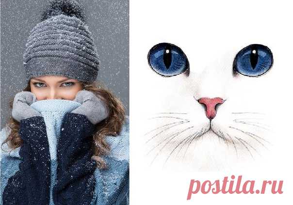 Запись Марину Татарскую песня КОШКА-ЗИМА...Кошка-Зима, расцарапав окно коготком, Сладко зевнув, пьет холодное молоко... И во дворе, наигравшись, свернётся клубком, Переодев людей в снежной бабы пальто.  Припев:  Надев пуховик, ты станешь волшебником вмиг,  С собою неся тепло... на стельках бе..