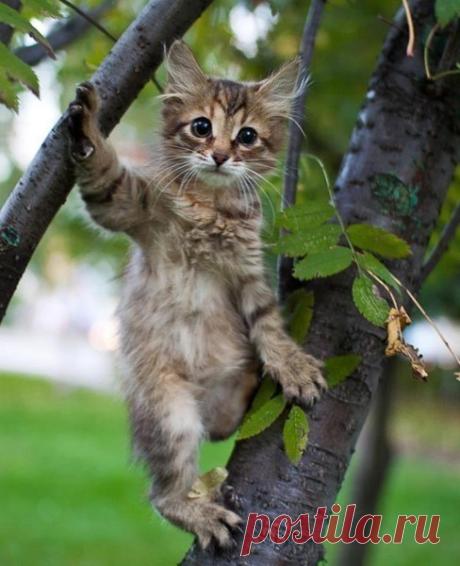 Мой Мир@Mail.Ru