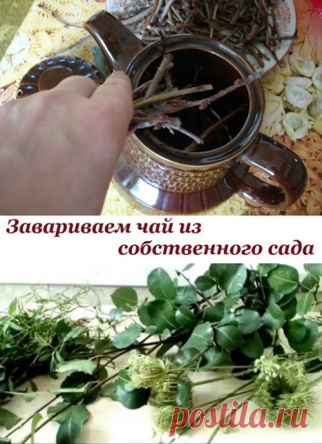(10) Одноклассники