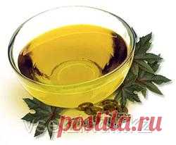 Касторовое масло для здоровья и красоты!. Статьи компании «Интернет - магазин "Все лучшее из Индии"»