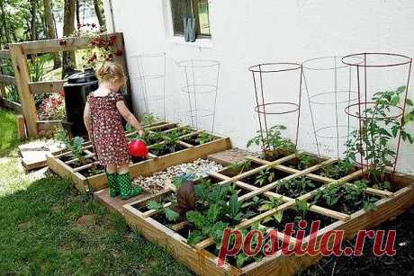 Чтобы в саду всегда пахло вкусно, сделайте уголок душистых трав!
Вот самые распространенные растения для него:
базилик, душица обыкновенная (орегано), лук, розмарин, рукола, любисток, тимьян, сельдерей (корневой, листовой и черешковый), салат (кочанный, листовой и ромен), петрушка, укроп, кинза, эстрагон, фенхель, хрен, щавель, шпинат, мята, мелисса, имбирь.