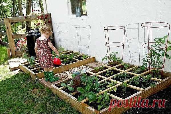 Чтобы в саду всегда пахло вкусно, сделайте уголок душистых трав!
Вот самые распространенные растения для него:
базилик, душица обыкновенная (орегано), лук, розмарин, рукола, любисток, тимьян, сельдерей (корневой, листовой и черешковый), салат (кочанный, листовой и ромен), петрушка, укроп, кинза, эстрагон, фенхель, хрен, щавель, шпинат, мята, мелисса, имбирь.