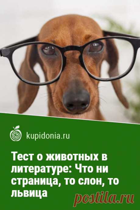 Тест о животных в литературе: Что ни страница, то слон, то львица. Интересный литературный тест по рассказам, повестям и другим произведениями русских и зарубежных авторов о животных. Проверьте свои знания!