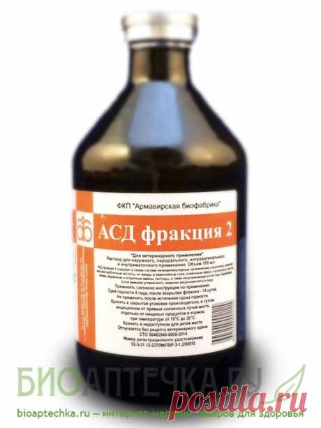 АСД Фракция 2 Армавир