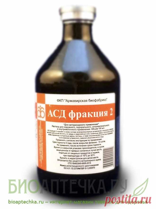 АСД Фракция 2 Армавир