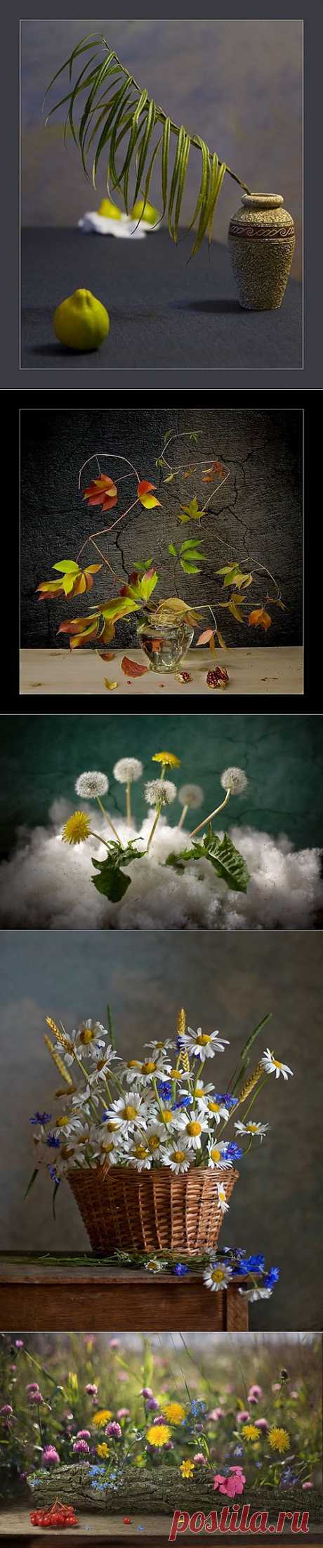 140 Still Lifes Art Photos by Igor Kolosov (144 фото) &amp;raquo; Картины, художники, фотографы на Nevsepic