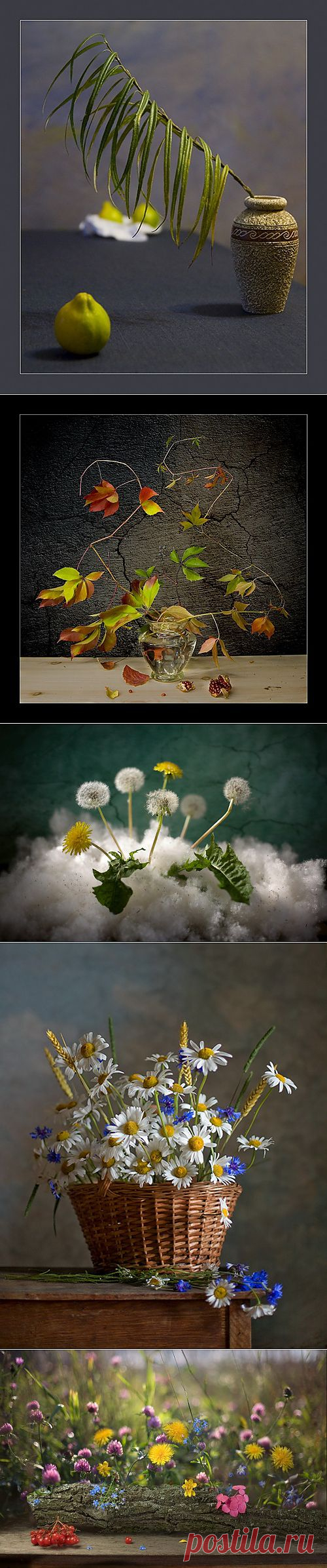 140 Still Lifes Art Photos by Igor Kolosov (144 фото) &raquo; Картины, художники, фотографы на Nevsepic