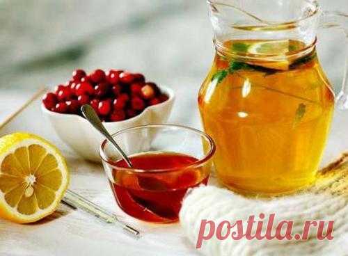 Крамола - Публикации 🍋 5 лучших народных рецептов от простуды 🍯