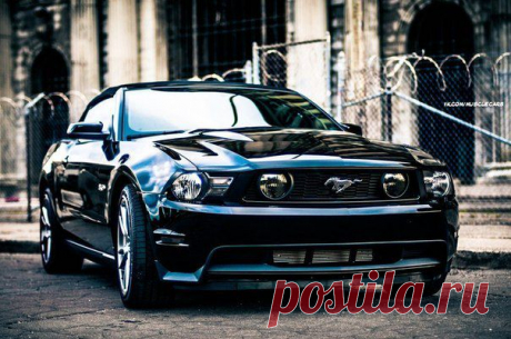 Ford Mustang / Только машины