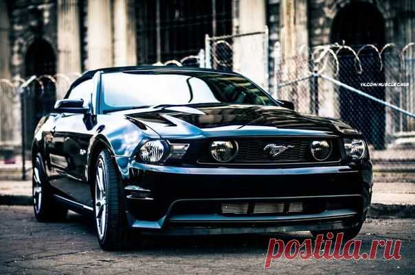 Ford Mustang / Только машины
