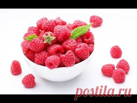 Уход за малиной. Выращивание в двухгодичной форме