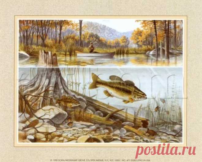 рыбалка фото для декупажа: 10 тыс изображений найдено в Яндекс.Картинках