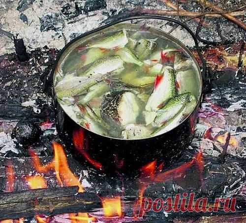 Уха простая и тройная