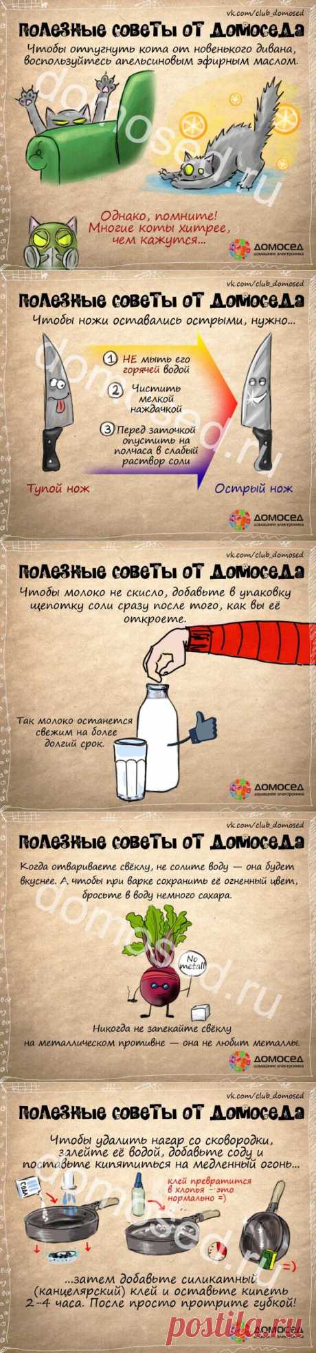 (+1) тема - Польза в быту | ВСЕГДА В ФОРМЕ!