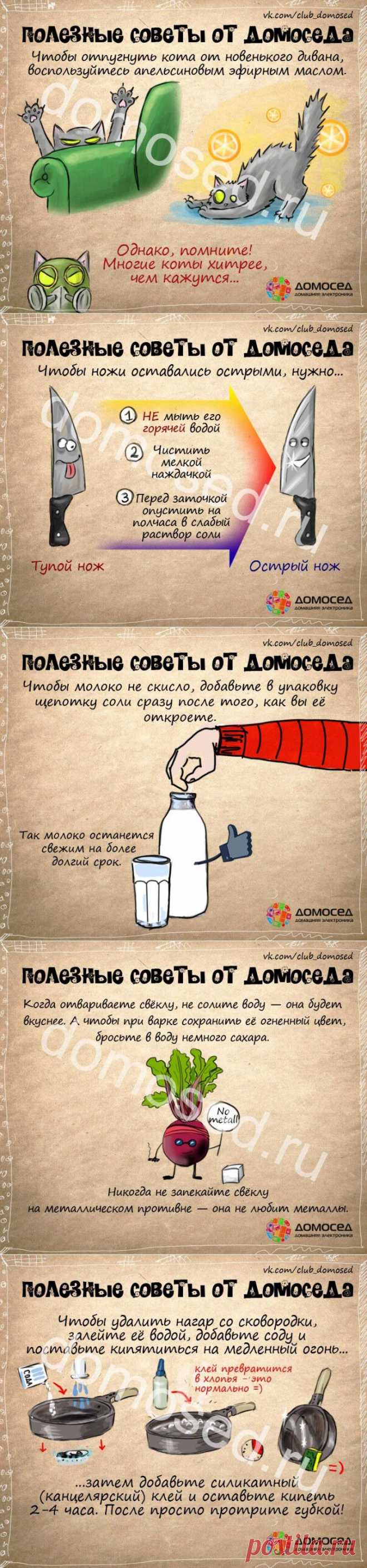 (+1) тема - Польза в быту | ВСЕГДА В ФОРМЕ!