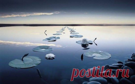 (99) Одноклассники