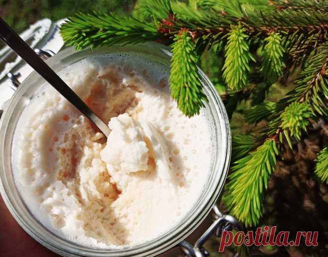 Взбитый джем из... ёлки! Очень вкусно и просто👍😉 | Живые вещи | Яндекс Дзен